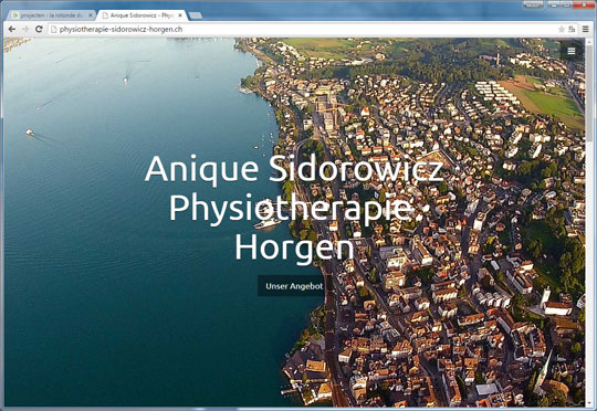 Homepage van Physiotherapie Sidorowicz Horgen